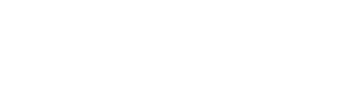 Neo Andino-02